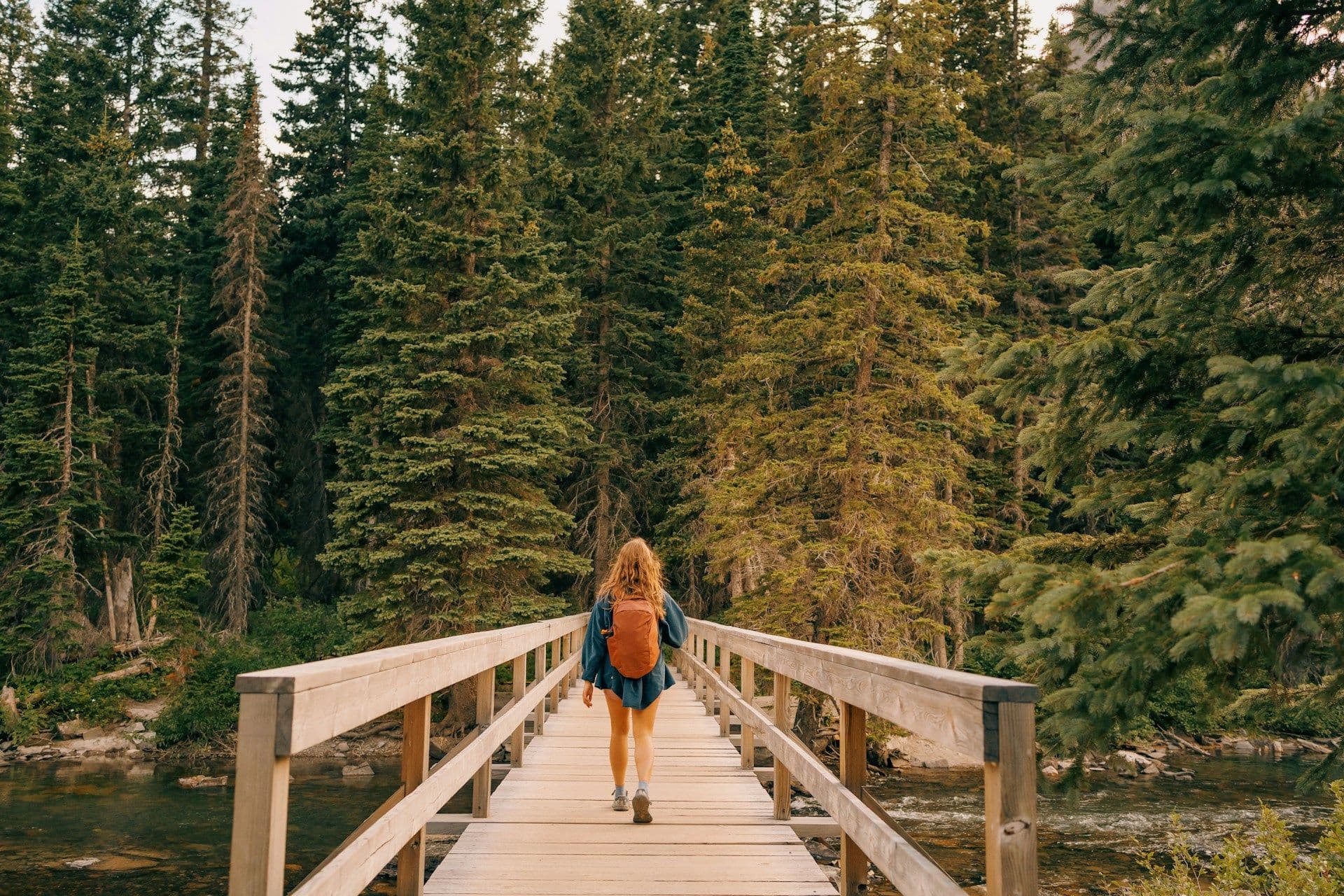 how-to-earn-money-for-travelling