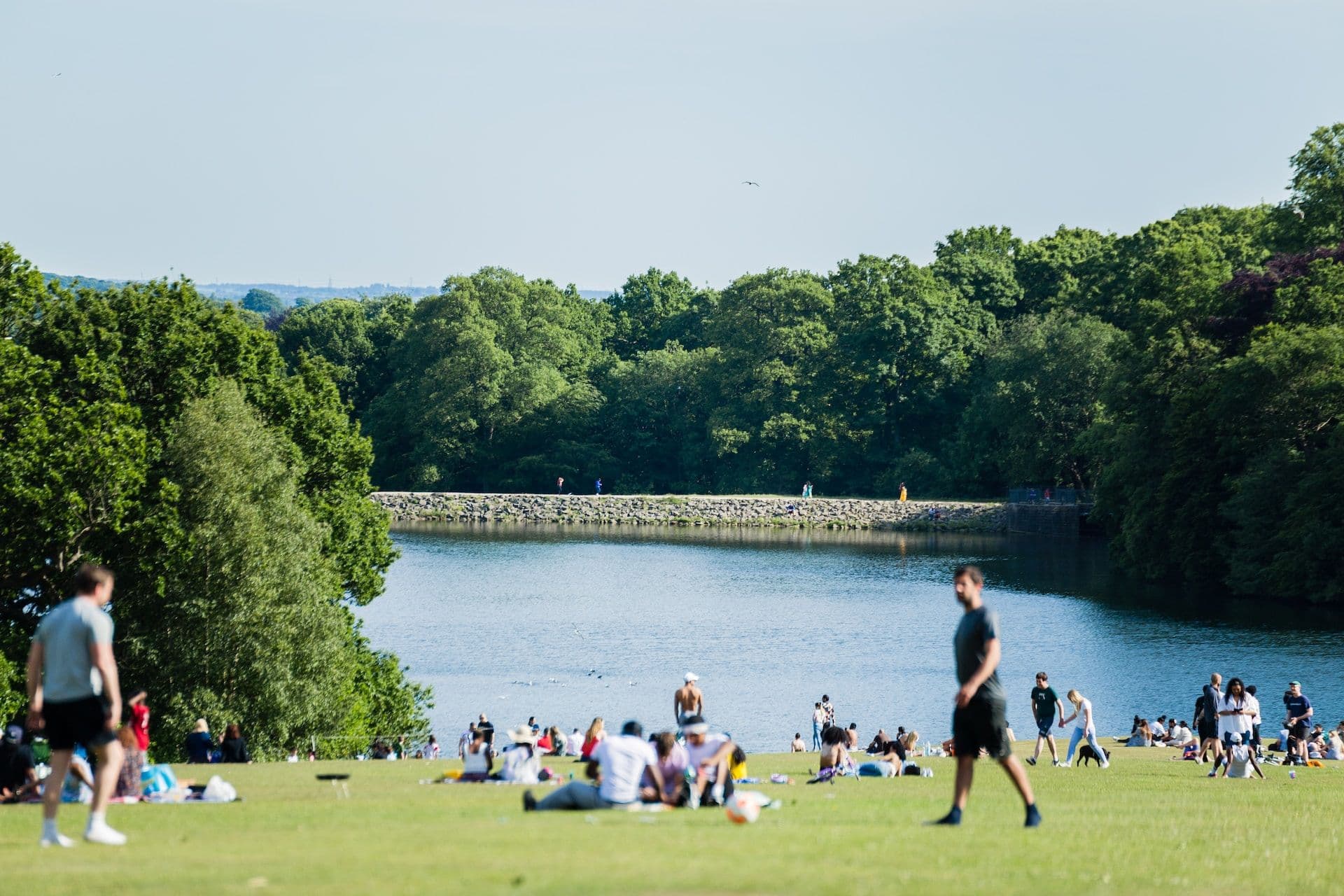 People sitting on green grass field near body of water during daytime